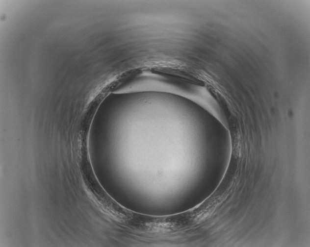 X0000067510448200604101300