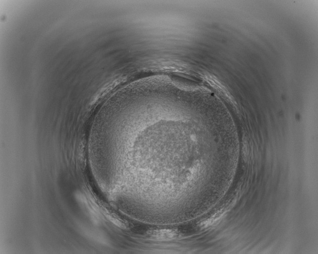 X0000067510449200604101300