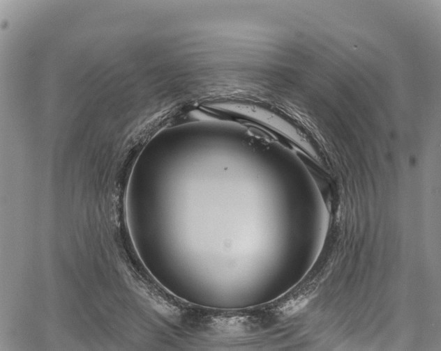 X0000067510450200604101300