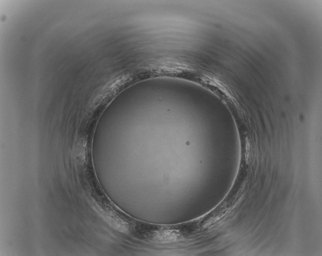 X0000067510451200604101300