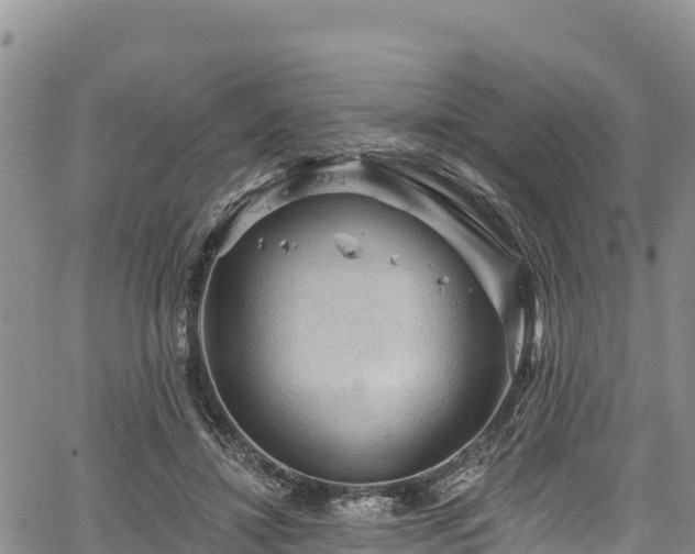 X0000067510452200604101300