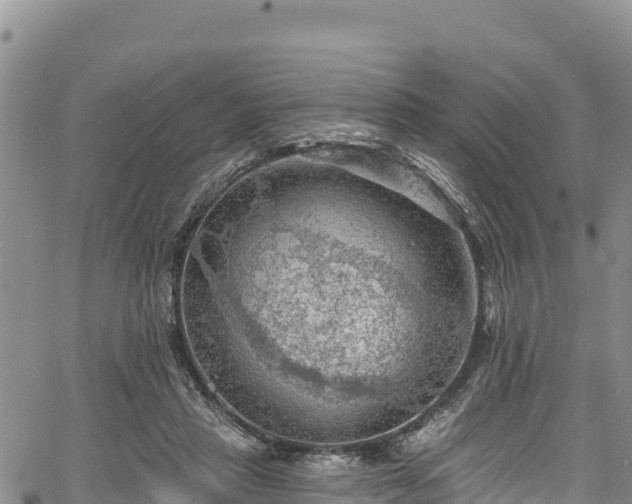 X0000067510453200604101300