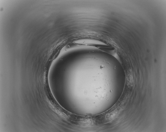 X0000067510454200604101300