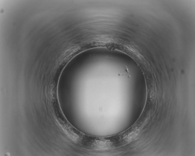 X0000067510455200604101300