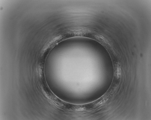 X0000067510456200604101300