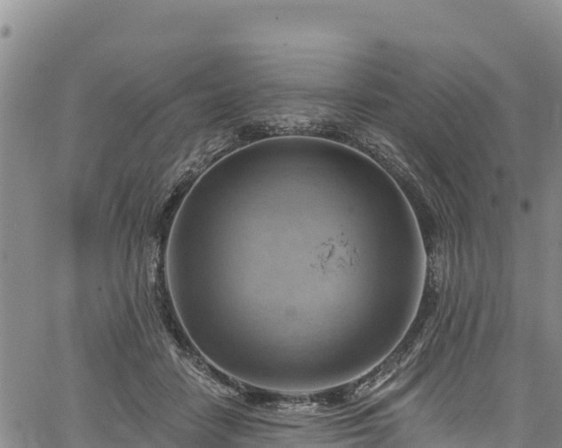 X0000067510458200604101300