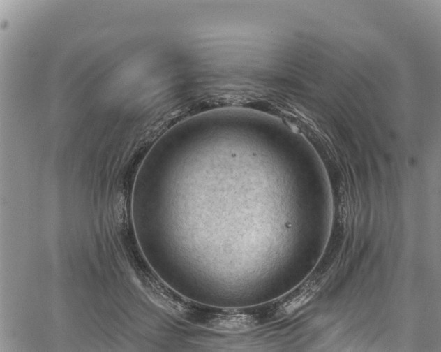 X0000067510459200604101300