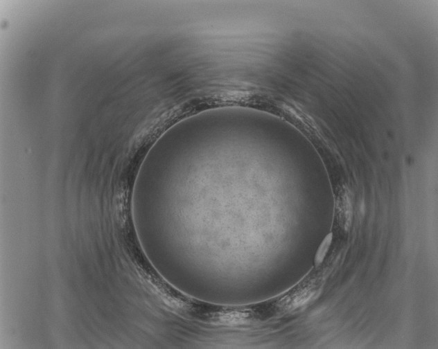 X0000067510462200604101300