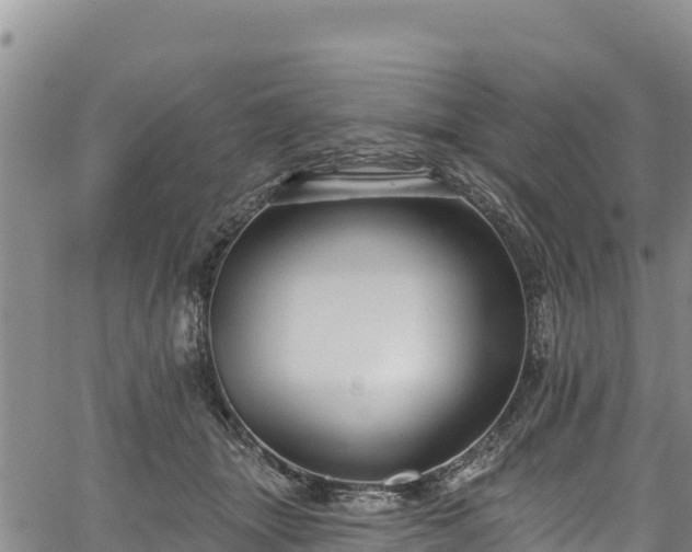 X0000067510463200604101300