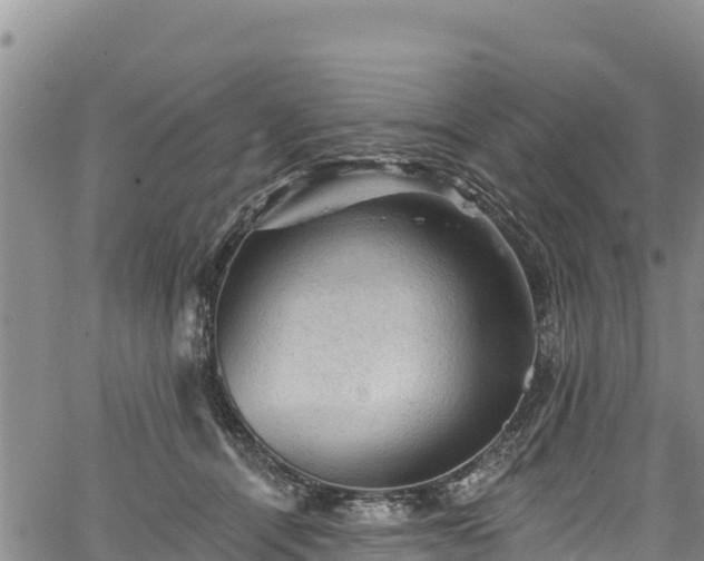 X0000067510464200604101300