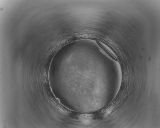 X0000067510465200604101300