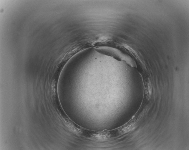 X0000067510466200604101300