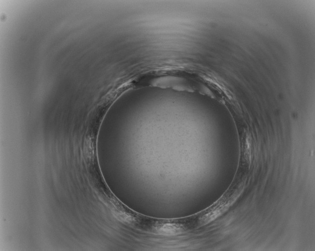 X0000067510467200604101300