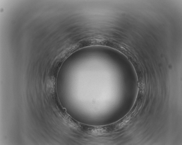 X0000067510468200604101300