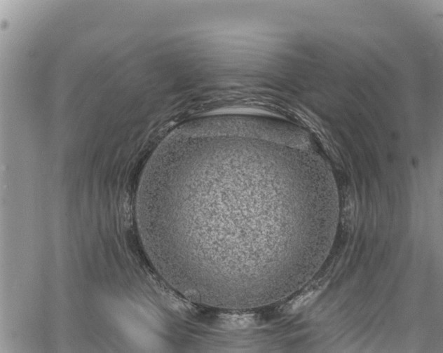 X0000067510469200604101300