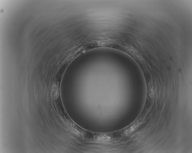 X0000067510471200604101300