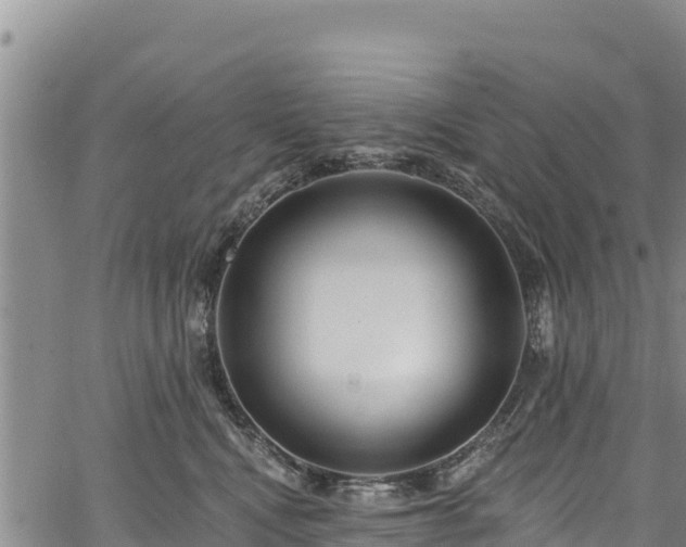 X0000067510472200604101300