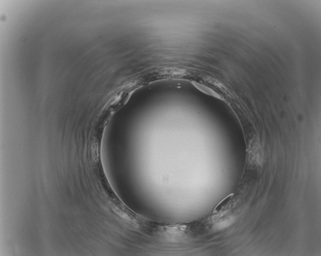 X0000067510474200604101300