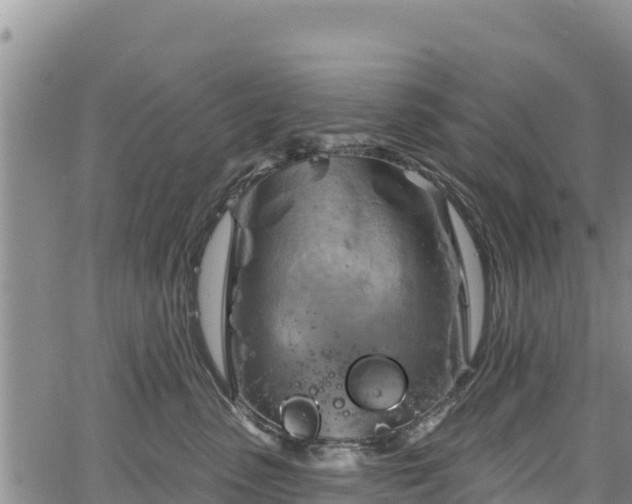 X0000067510475200604101300