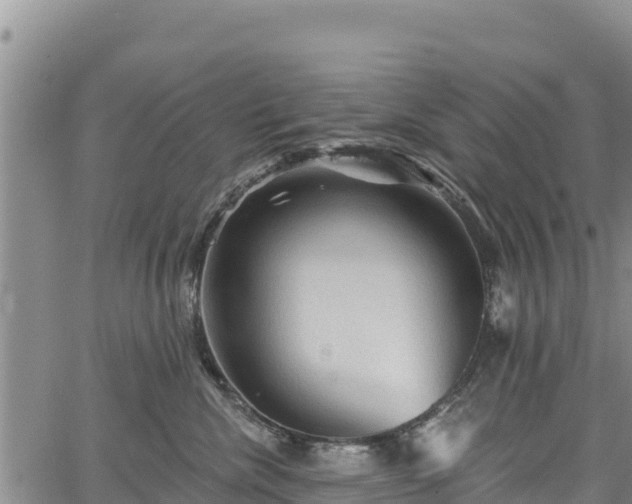 X0000067510476200604101300