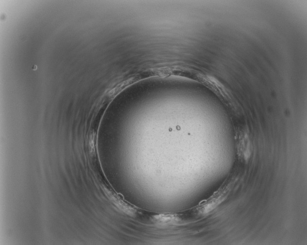 X0000067510477200604101300