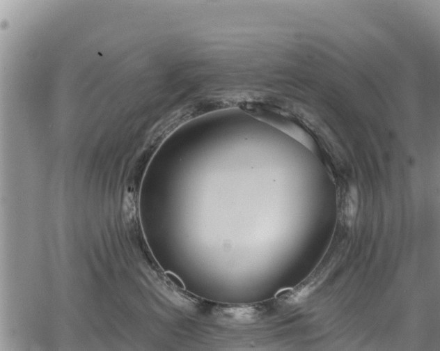 X0000067510478200604101300