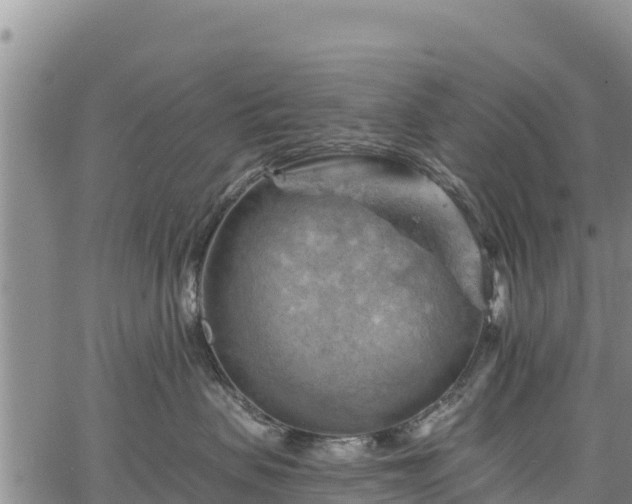 X0000067510479200604101300