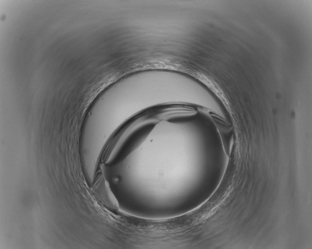 X0000067510481200604101259