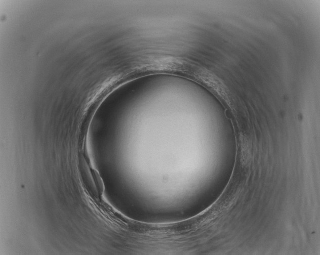 X0000067510482200604101259