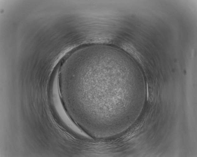 X0000067510483200604101259