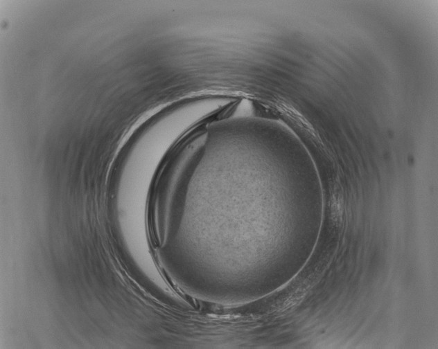 X0000067510484200604101259