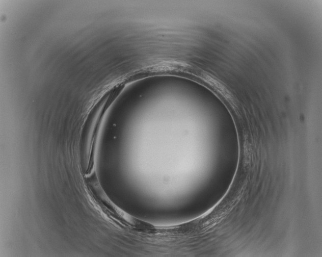 X0000067510485200604101259