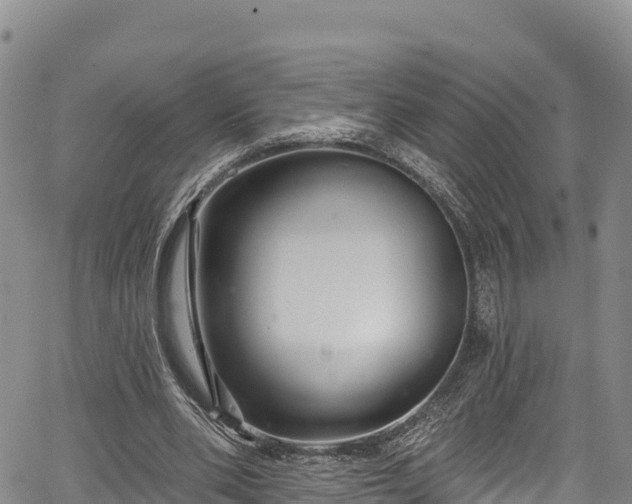 X0000067510486200604101259