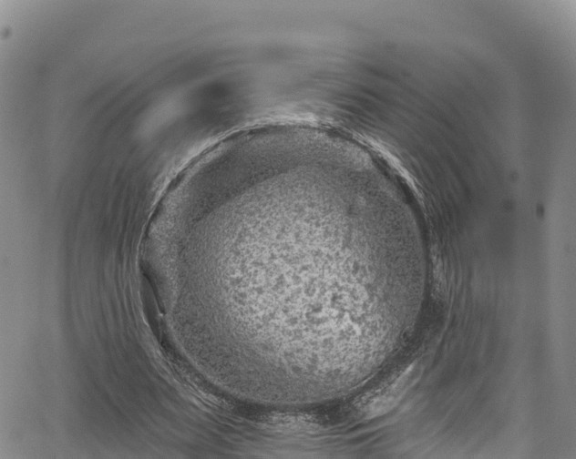 X0000067510487200604101259