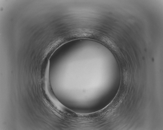 X0000067510490200604101259