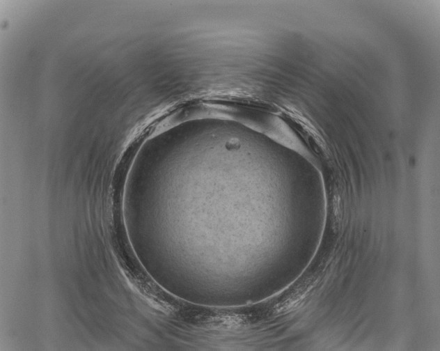 X0000067510492200604101259