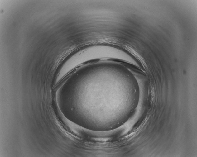 X0000067510493200604101259