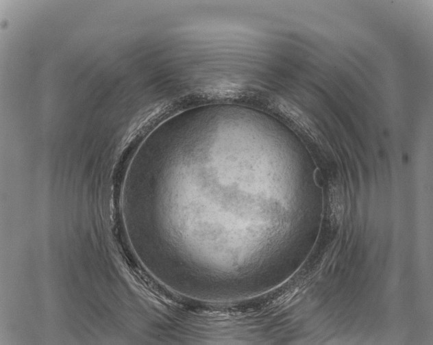 X0000067510494200604101259