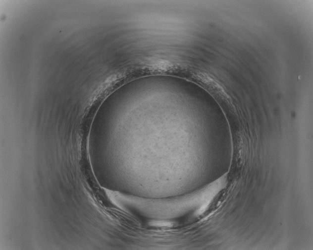 X0000067510496200604101259