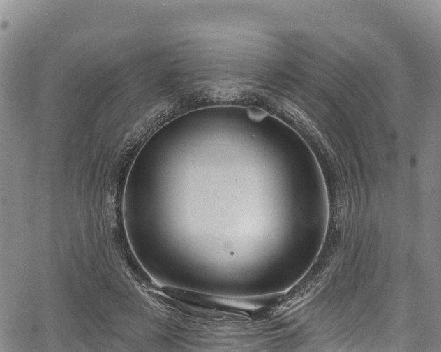 X0000067510497200604101259