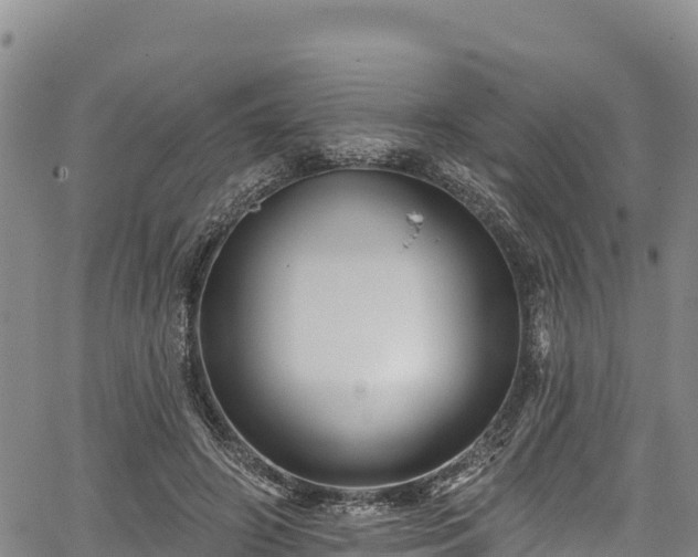 X0000067510498200604101259