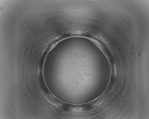 X0000067510500200604101259