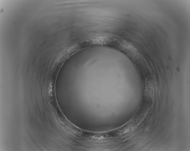 X0000067510502200604101259