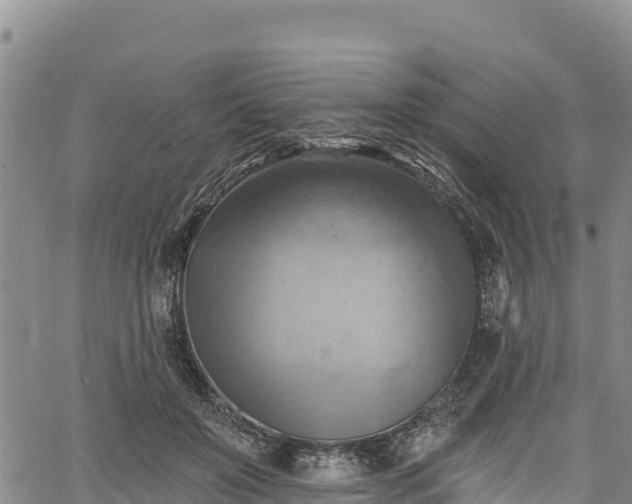 X0000067510503200604101259