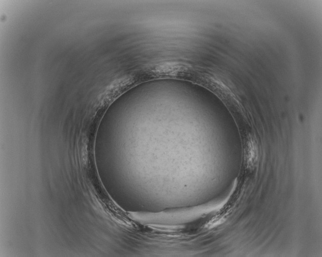 X0000067510504200604101259