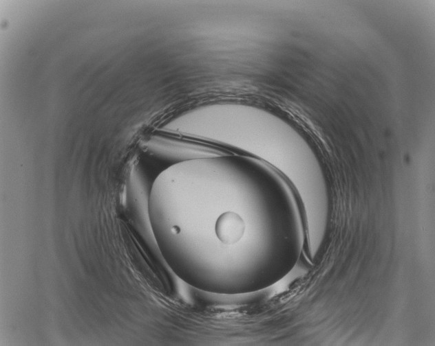 X0000067510505200604101259