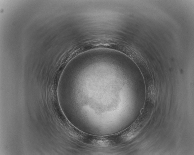 X0000067510506200604101259