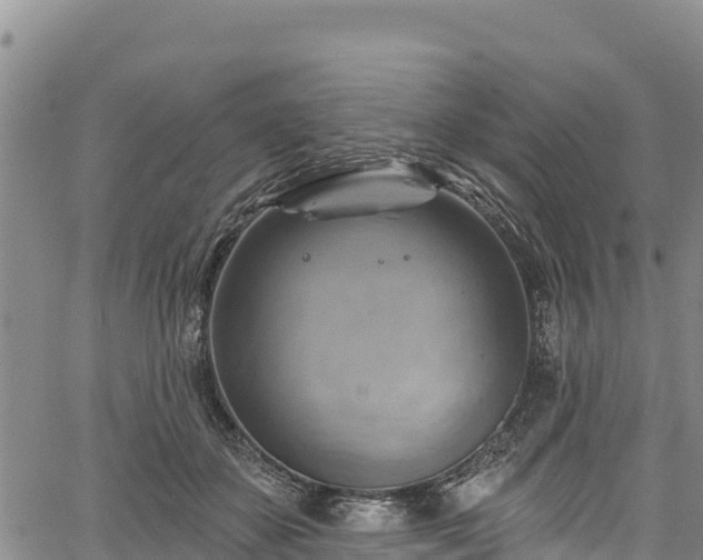 X0000067510507200604101259