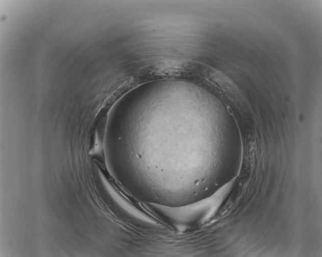 X0000067510508200604101259