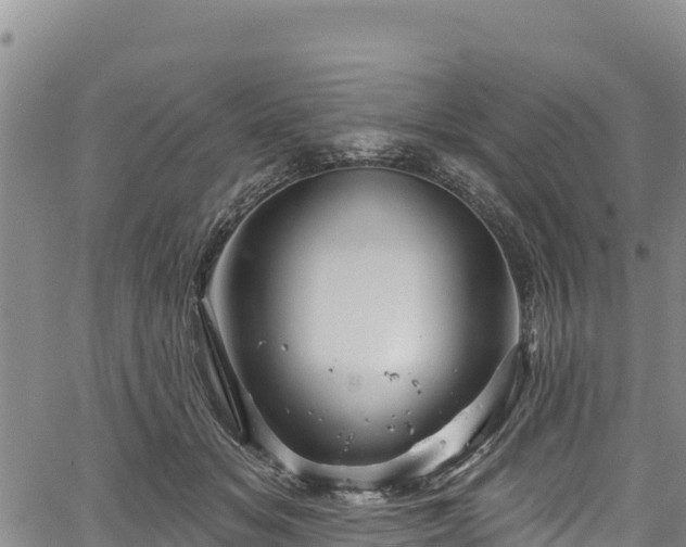 X0000067510509200604101259